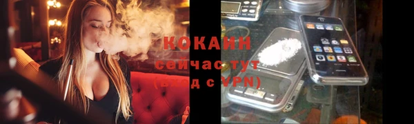 дмт Козловка