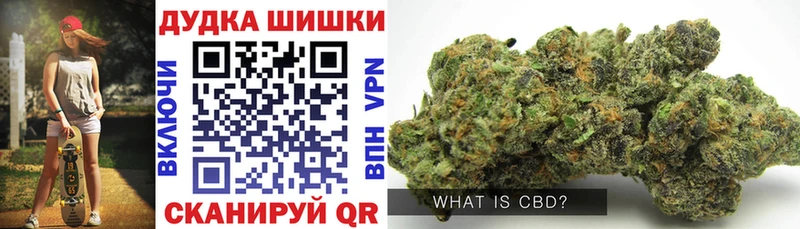 Бошки марихуана сатива Демидов